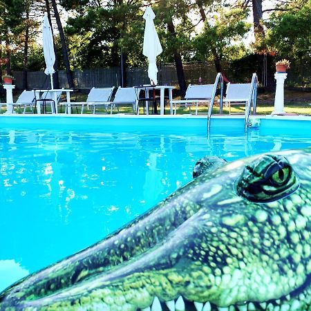 Apartament La Fabbrichina Il Luogo Della Pace Camporbiano Zewnętrze zdjęcie